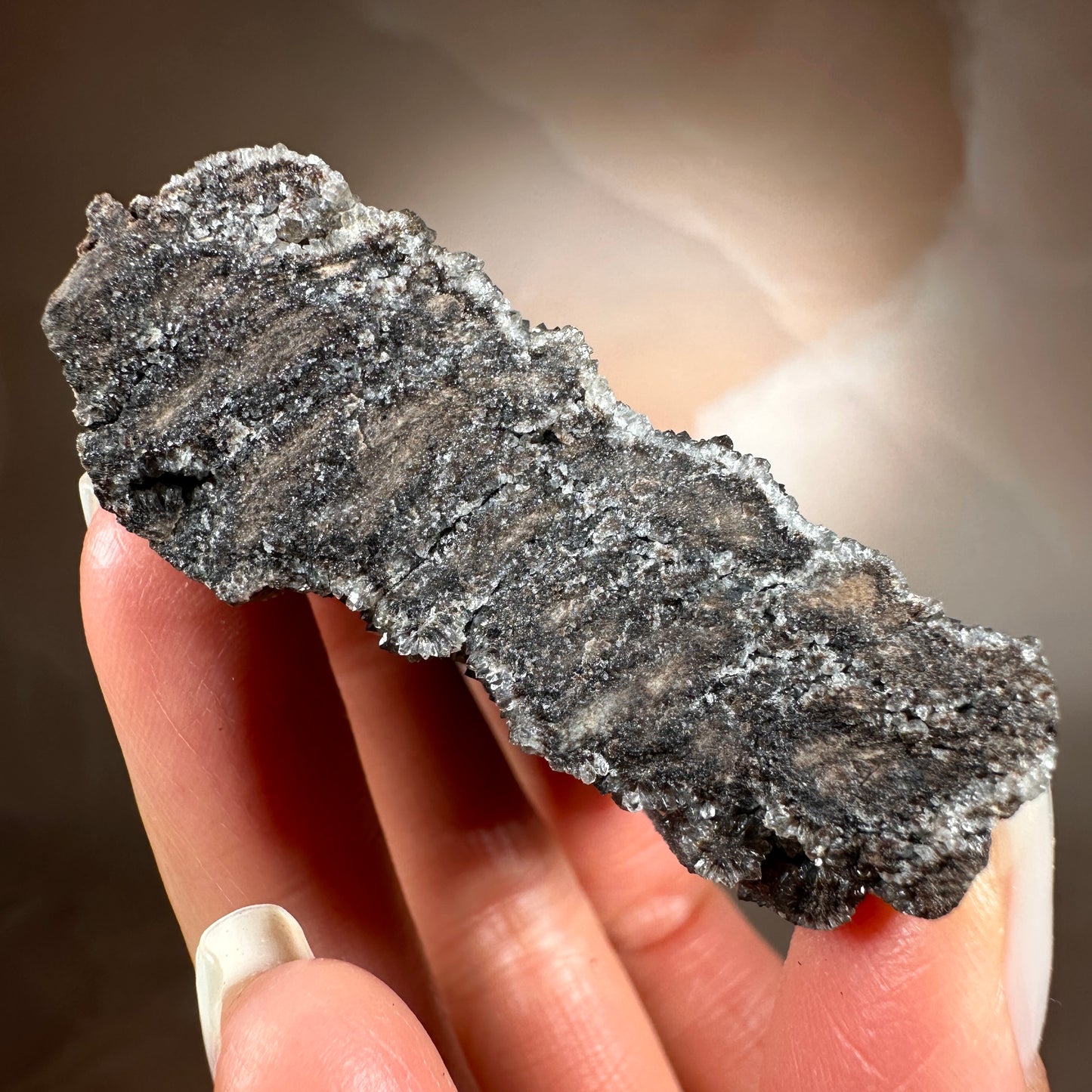 Crystallized Fossil Wood with Smoky Quartz Druzy, 86g | Arizona