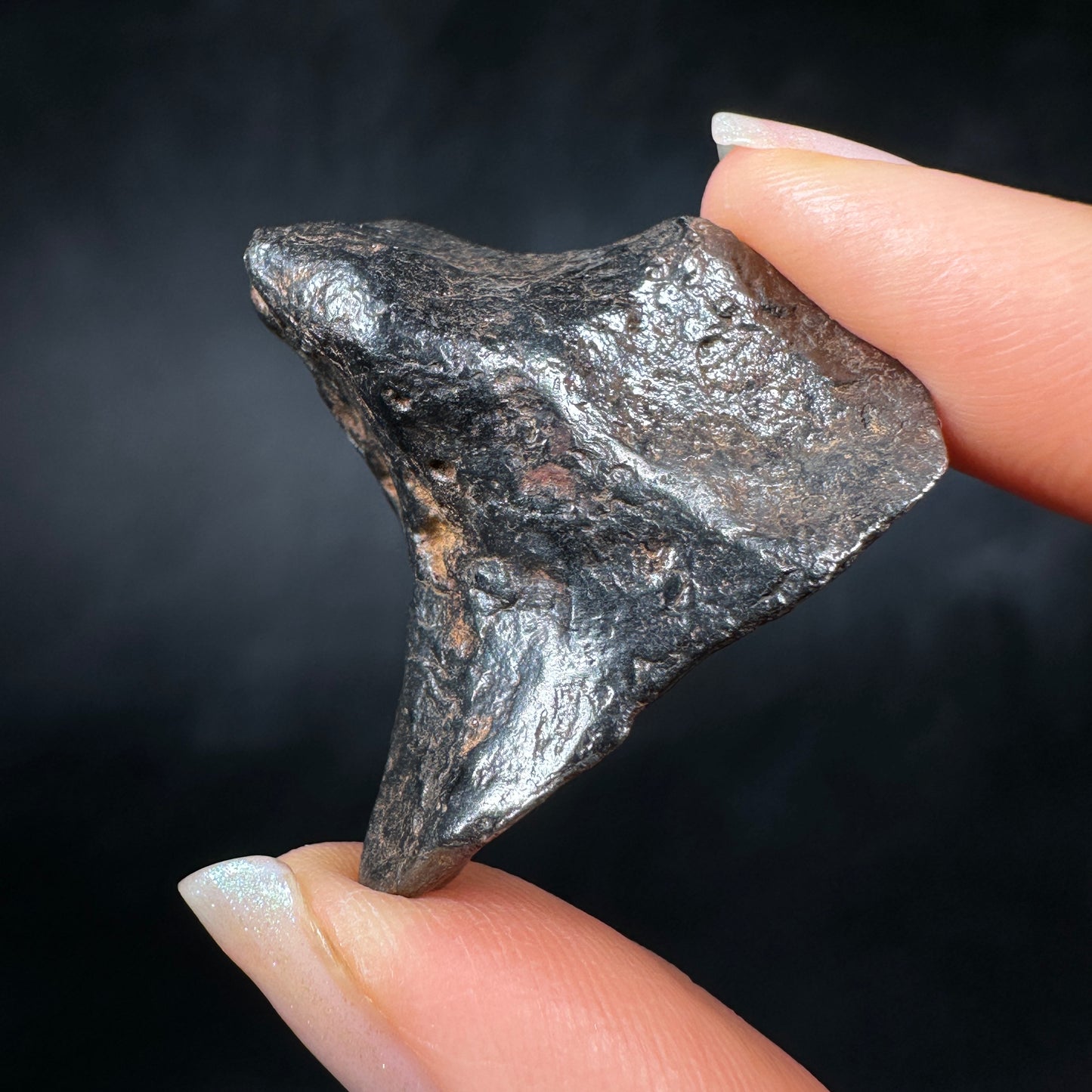 Canyon Diablo Meteorite