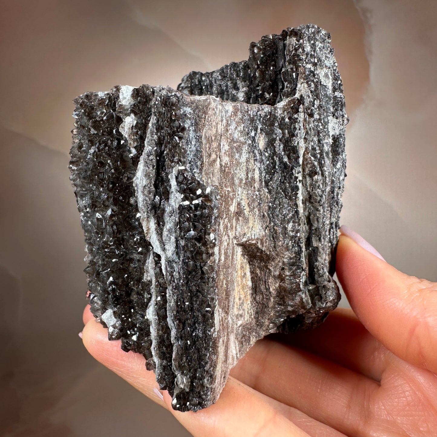 Crystallized Fossil Wood with Smoky Quartz Druzy, 383g — Arizona