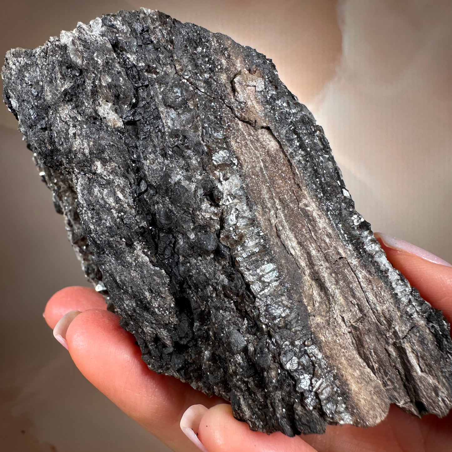 Crystallized Fossil Wood with Smoky Quartz Druzy, 347g — Arizona