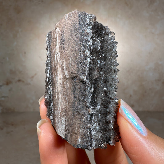Crystallized Fossil Wood with Smoky Quartz, 44g | Arizona