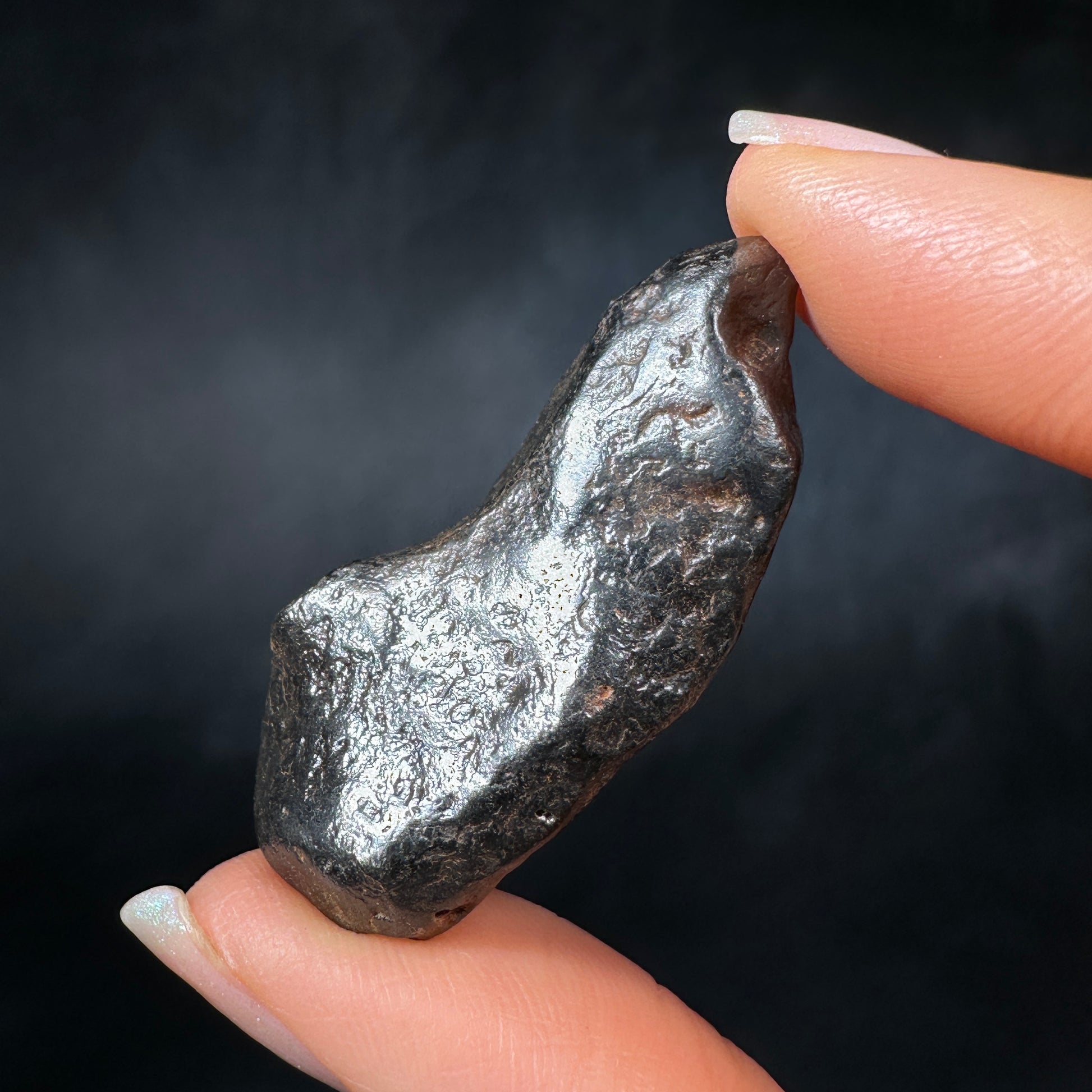 Canyon Diablo Meteorites