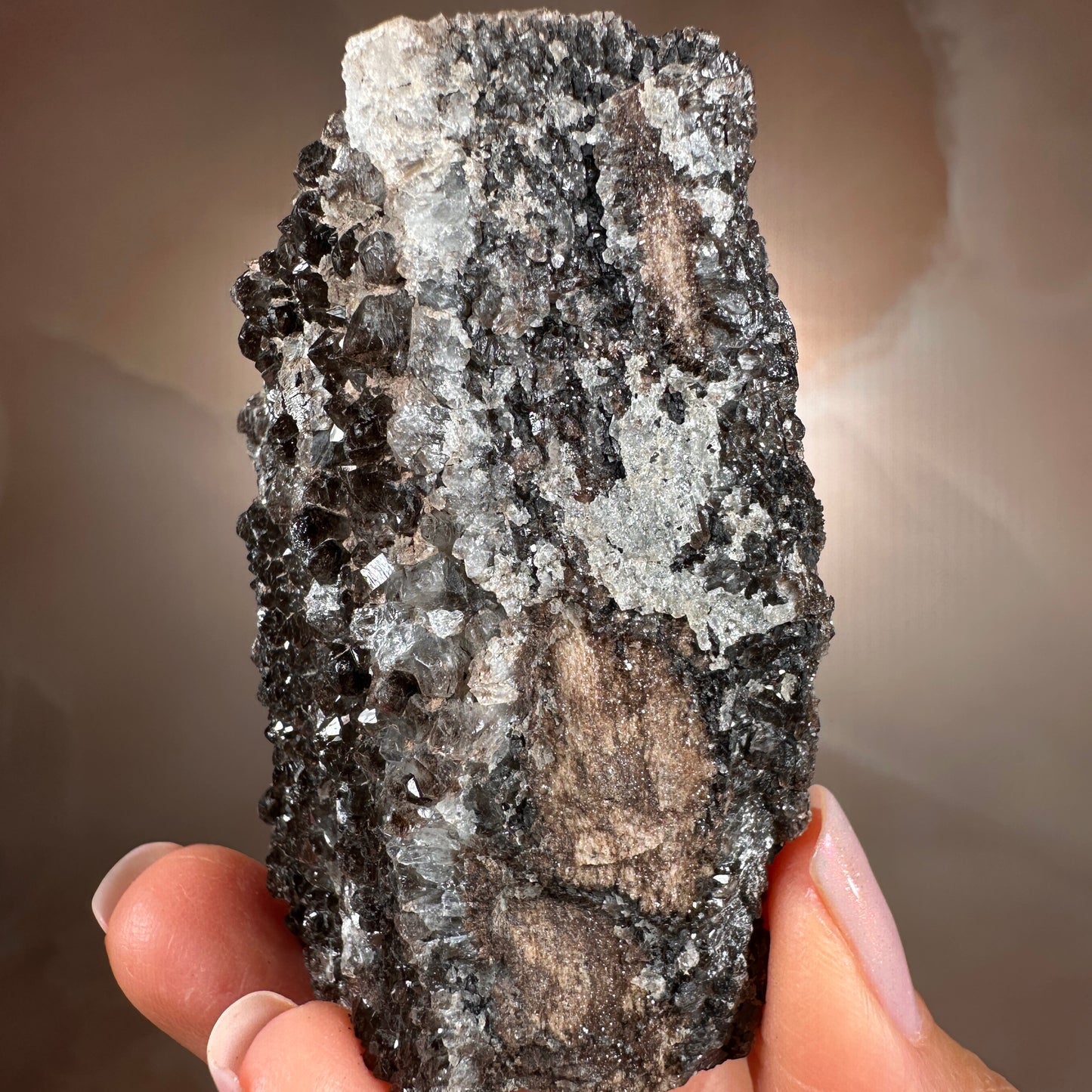 Crystallized Fossil Wood with Smoky Quartz Druzy, 117g — Arizona