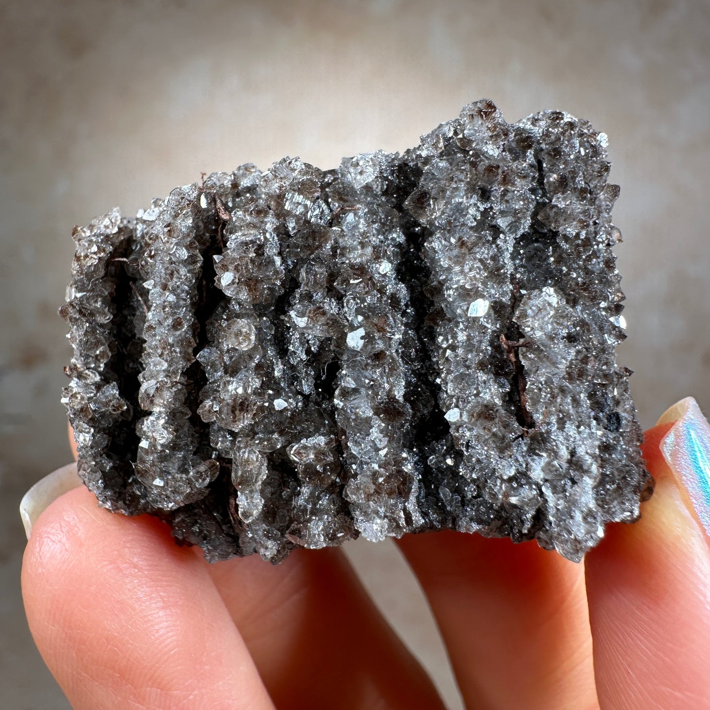 Crystallized Fossil Wood with Smoky Quartz, 30g | Arizona