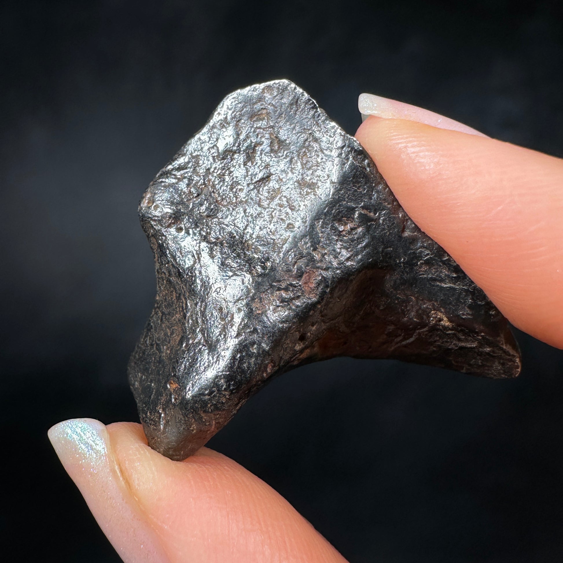 Canyon Diablo Meteorites