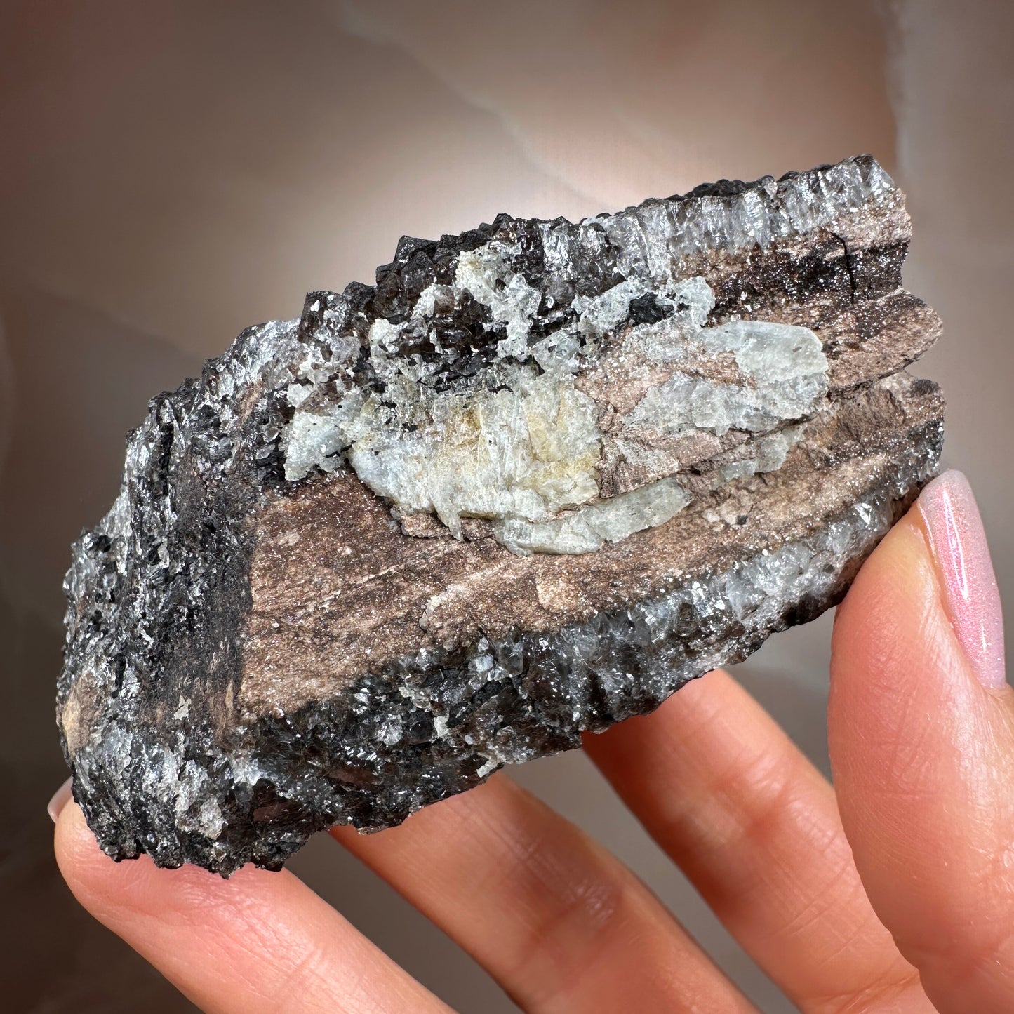 Crystallized Fossil Wood with Smoky Quartz Druzy, 137g — Arizona
