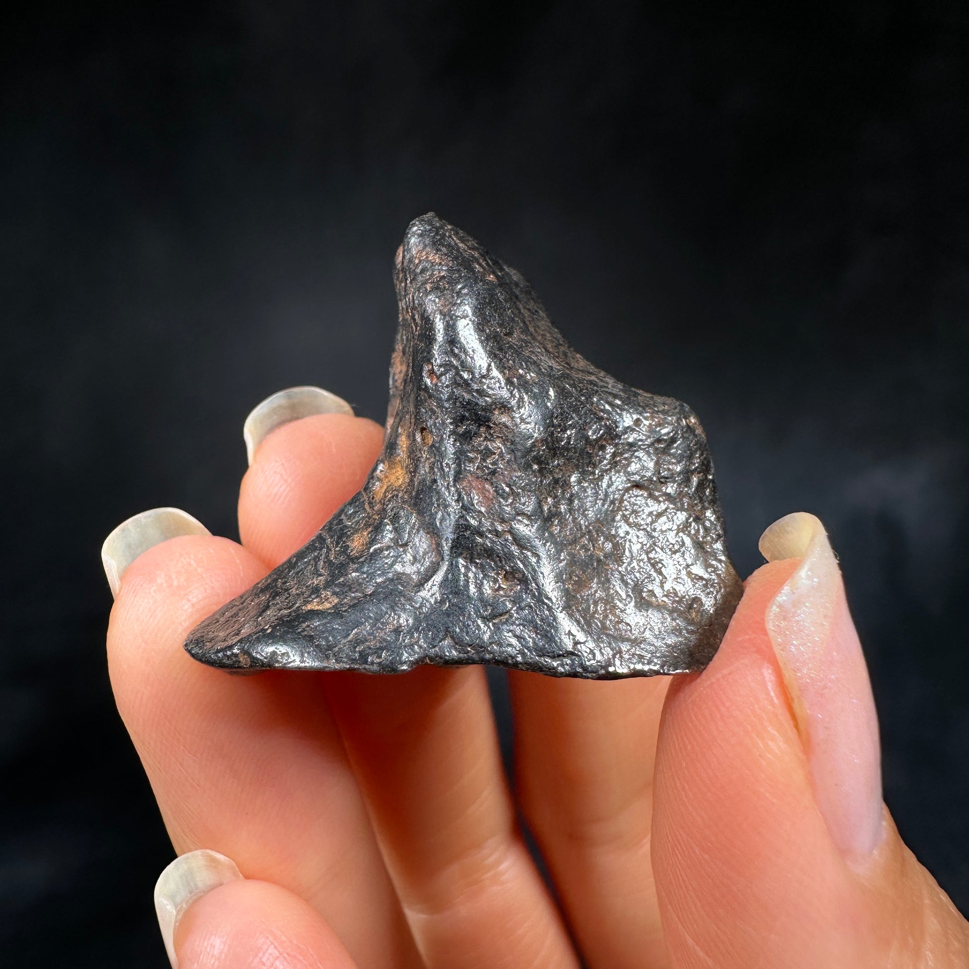 Canyon Diablo Iron Meteorite