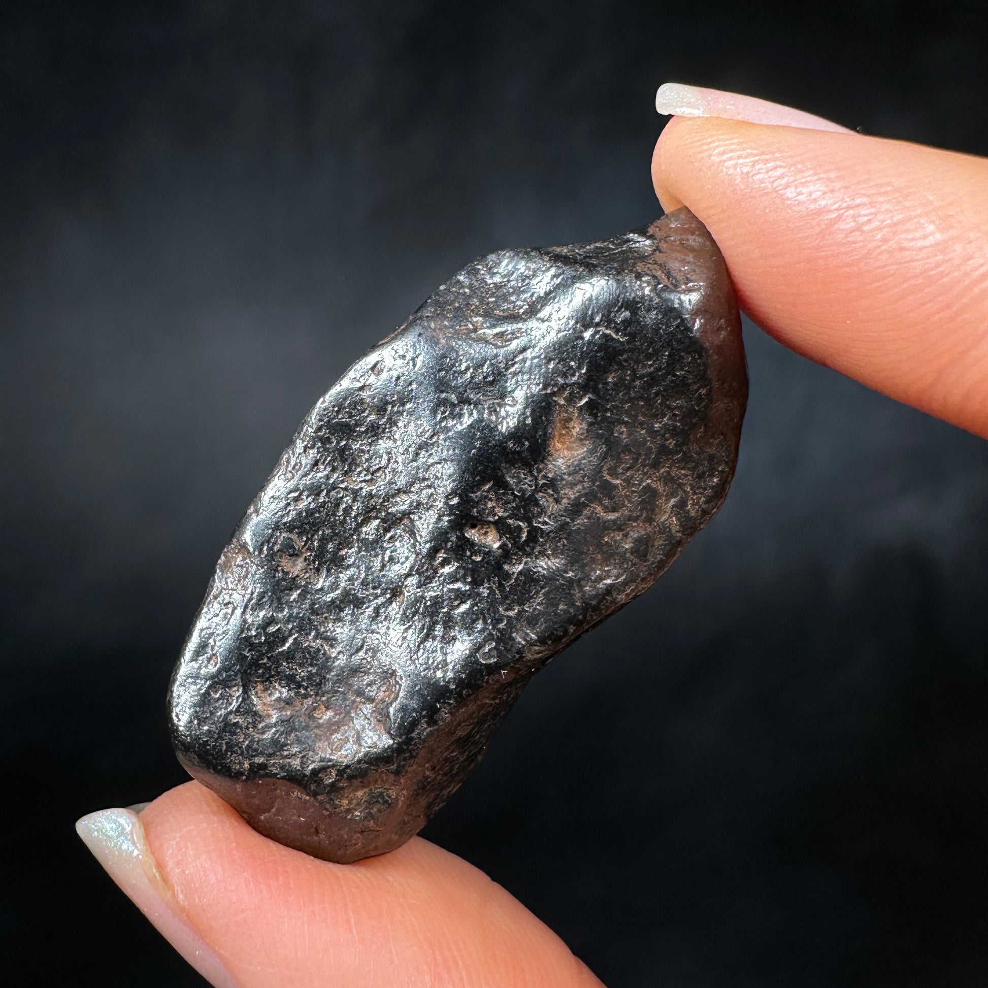 Canyon Diablo Meteorites