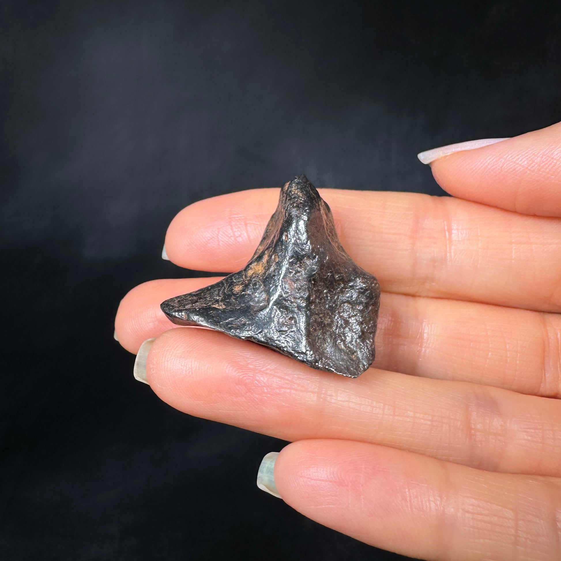 Canyon Diablo Meteorite