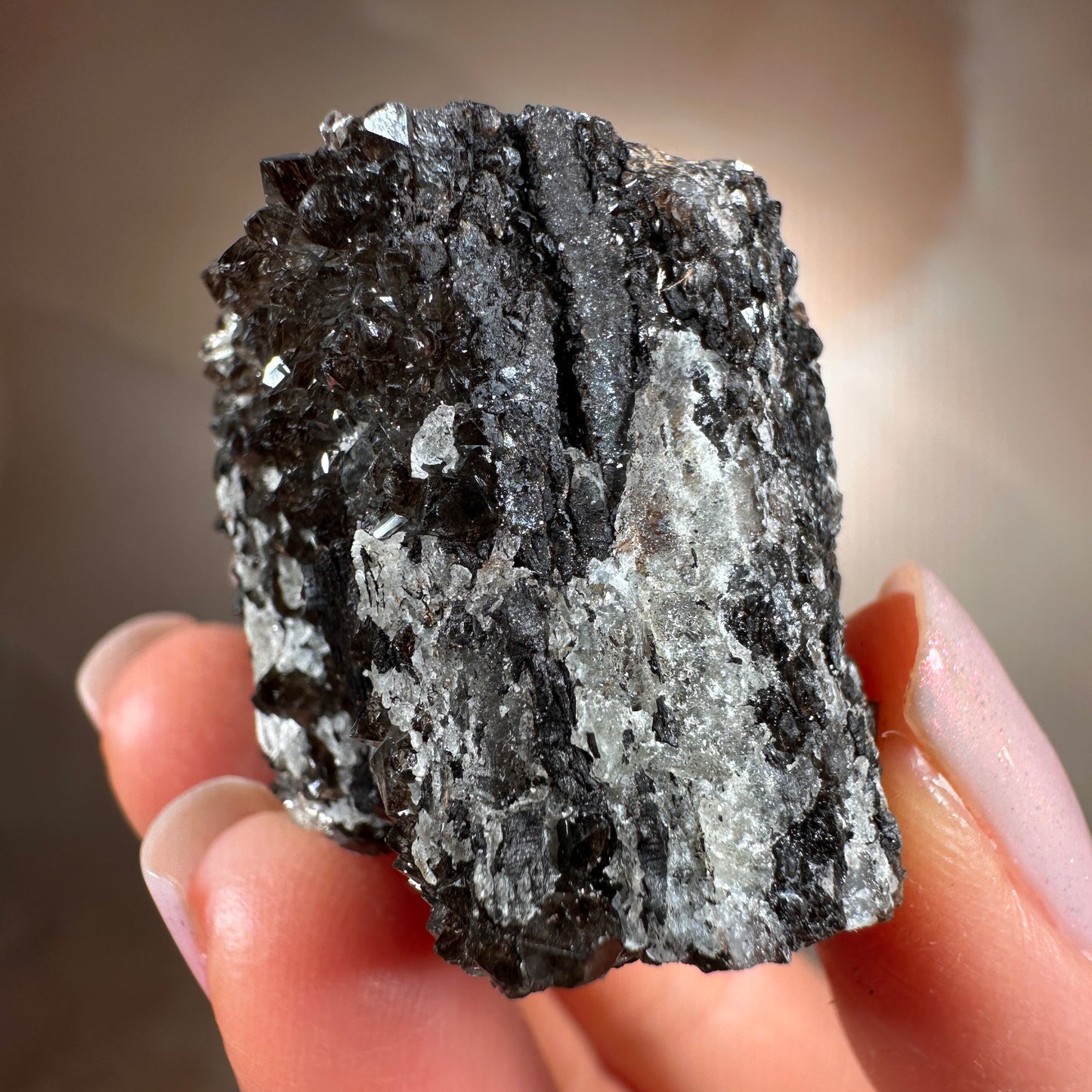 Crystallized Fossil Wood with Smoky Quartz Druzy, 44g — Arizona