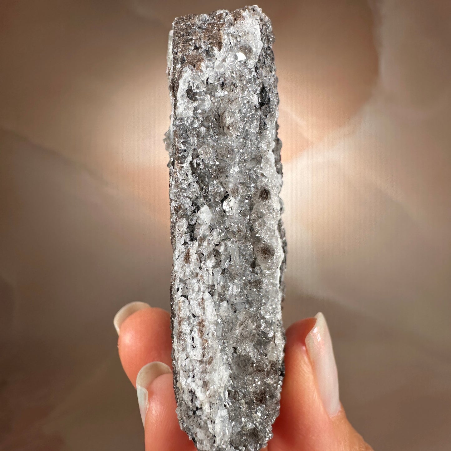 Crystallized Fossil Wood with Silver Smoky Quartz Druzy, 96g | Arizona
