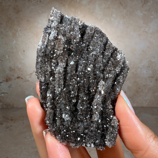 Crystallized Fossil Wood with Smoky Quartz, 106g | Arizona