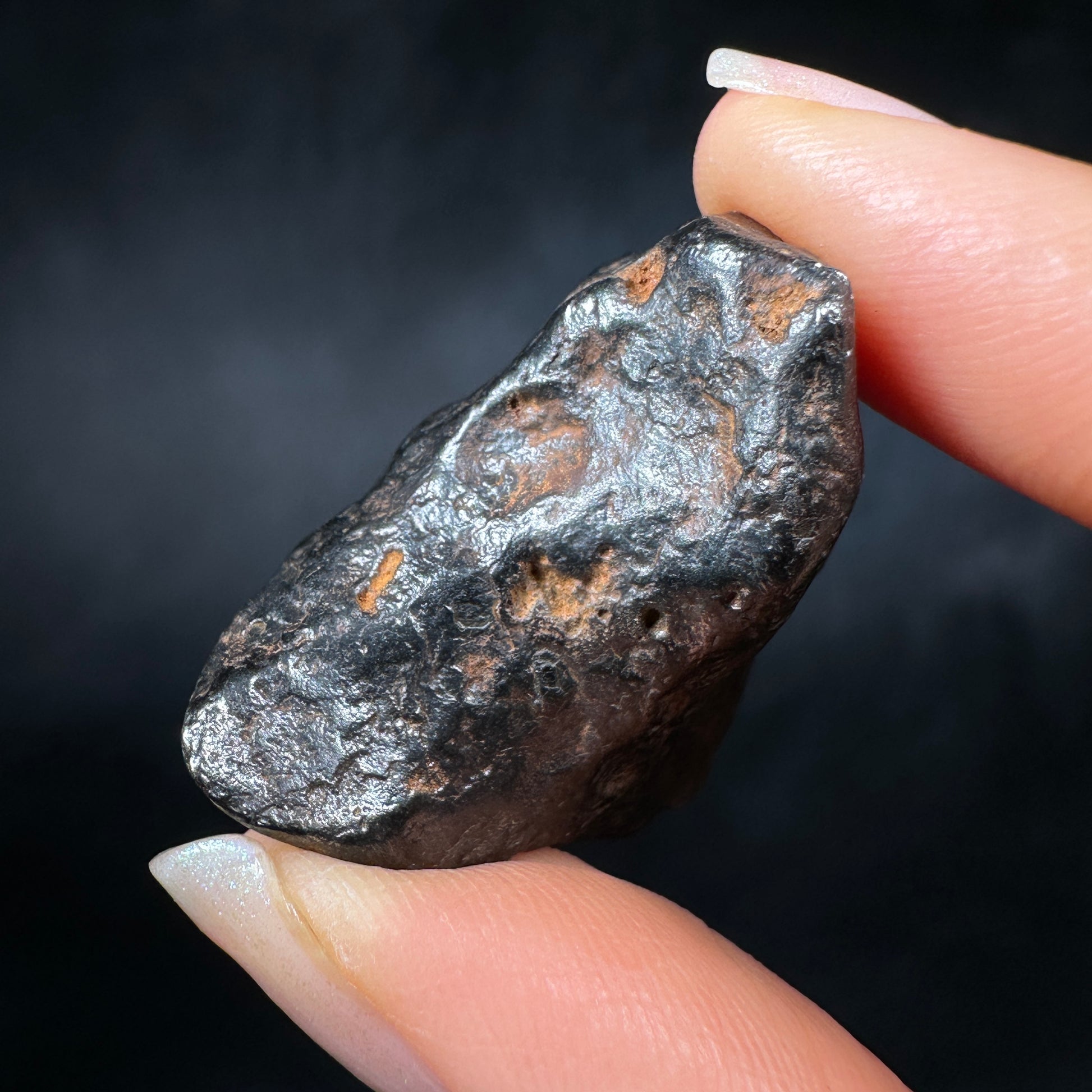 Canyon Diablo Meteorite