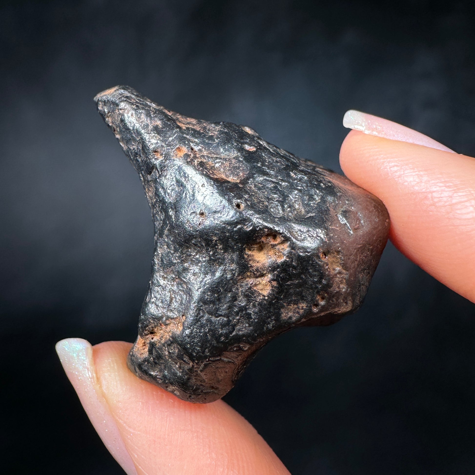 Canyon Diablo Meteorites