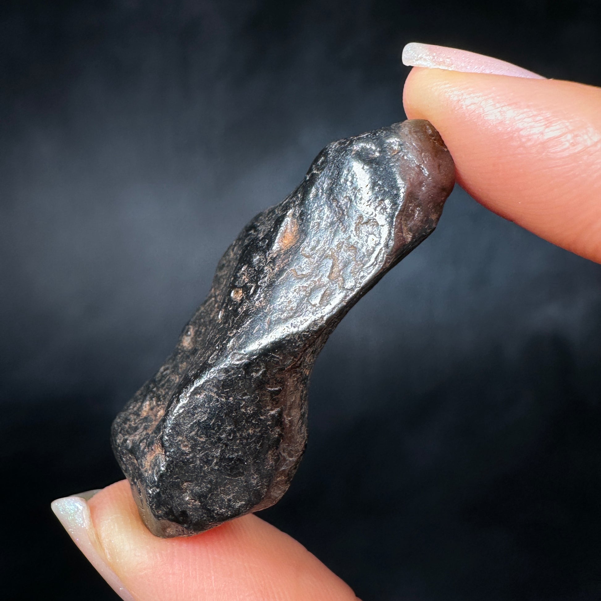 Canyon Diablo Meteorites for sale