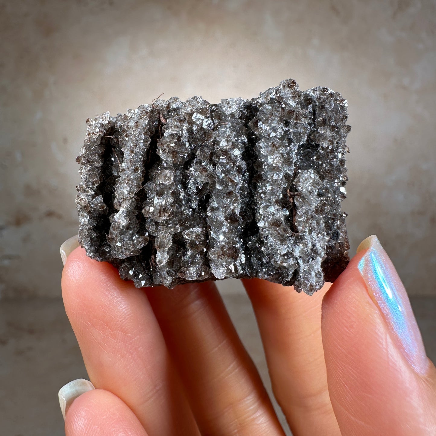 Crystallized Fossil Wood with Smoky Quartz, 30g | Arizona