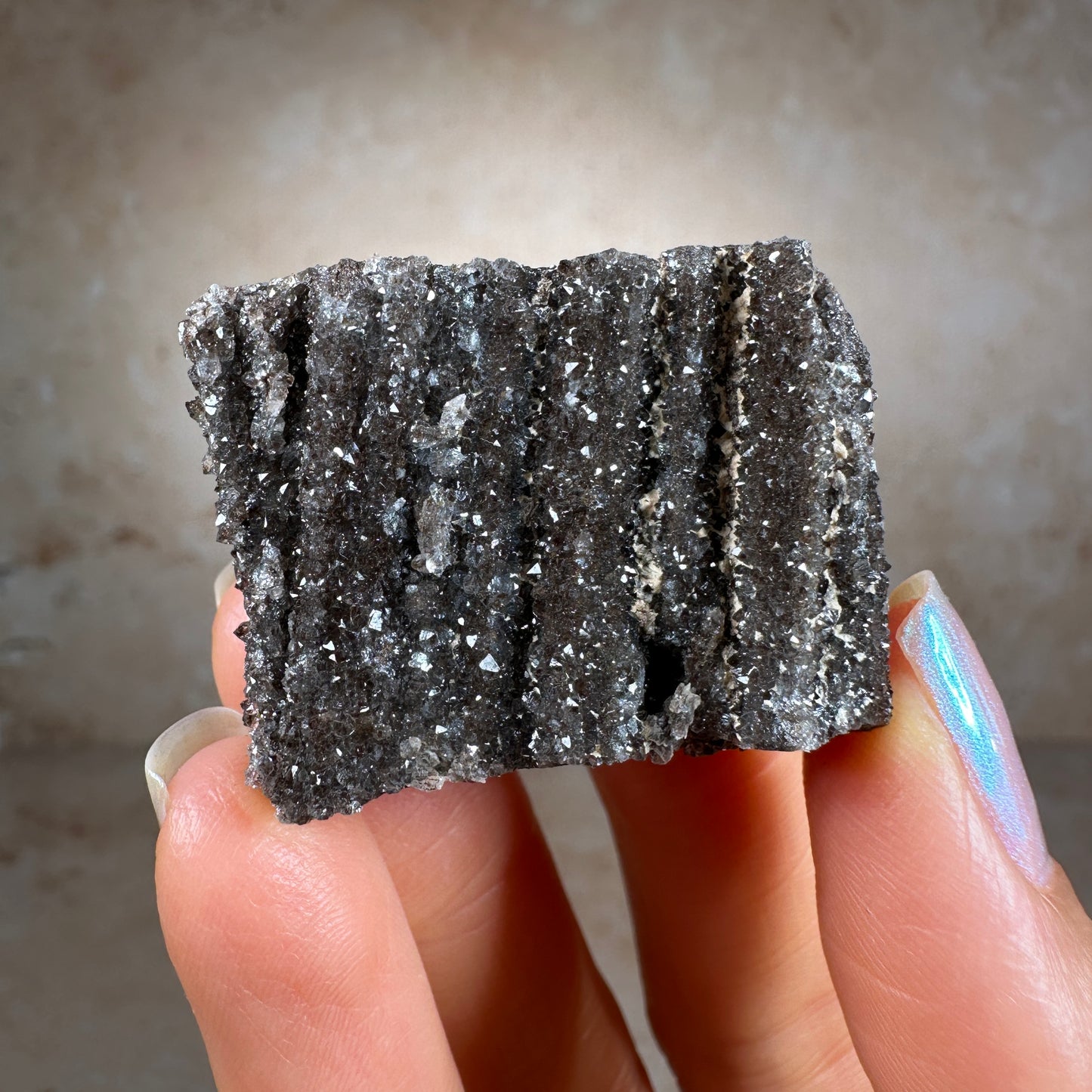 Crystallized Fossil Wood with Smoky Quartz, 30g | Arizona