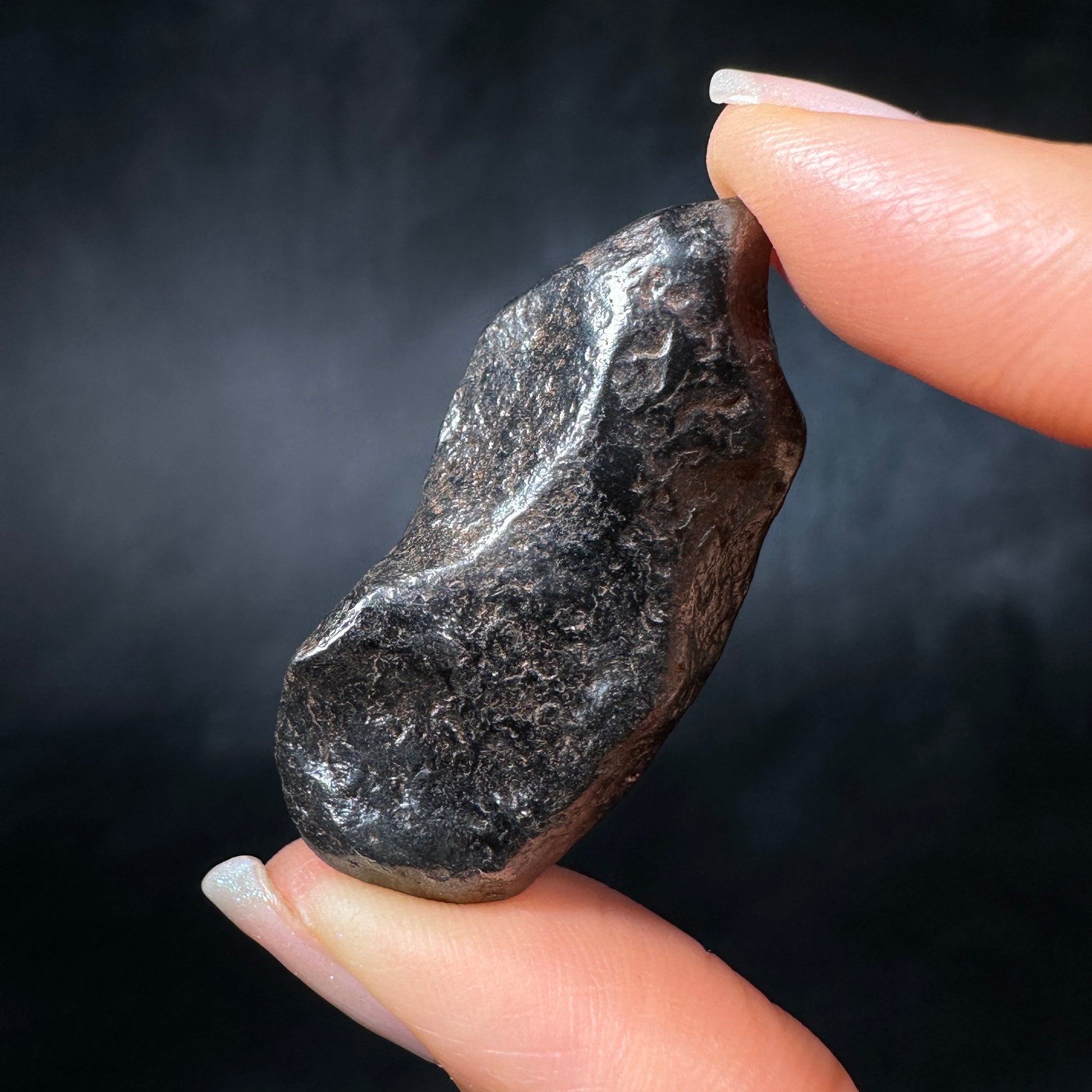 Canyon Diablo Meteorite