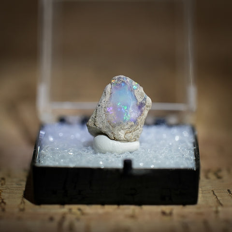 Ethiopian Opal in Collectors Box, Kok Weha Mine, Ethiopia, 6ct