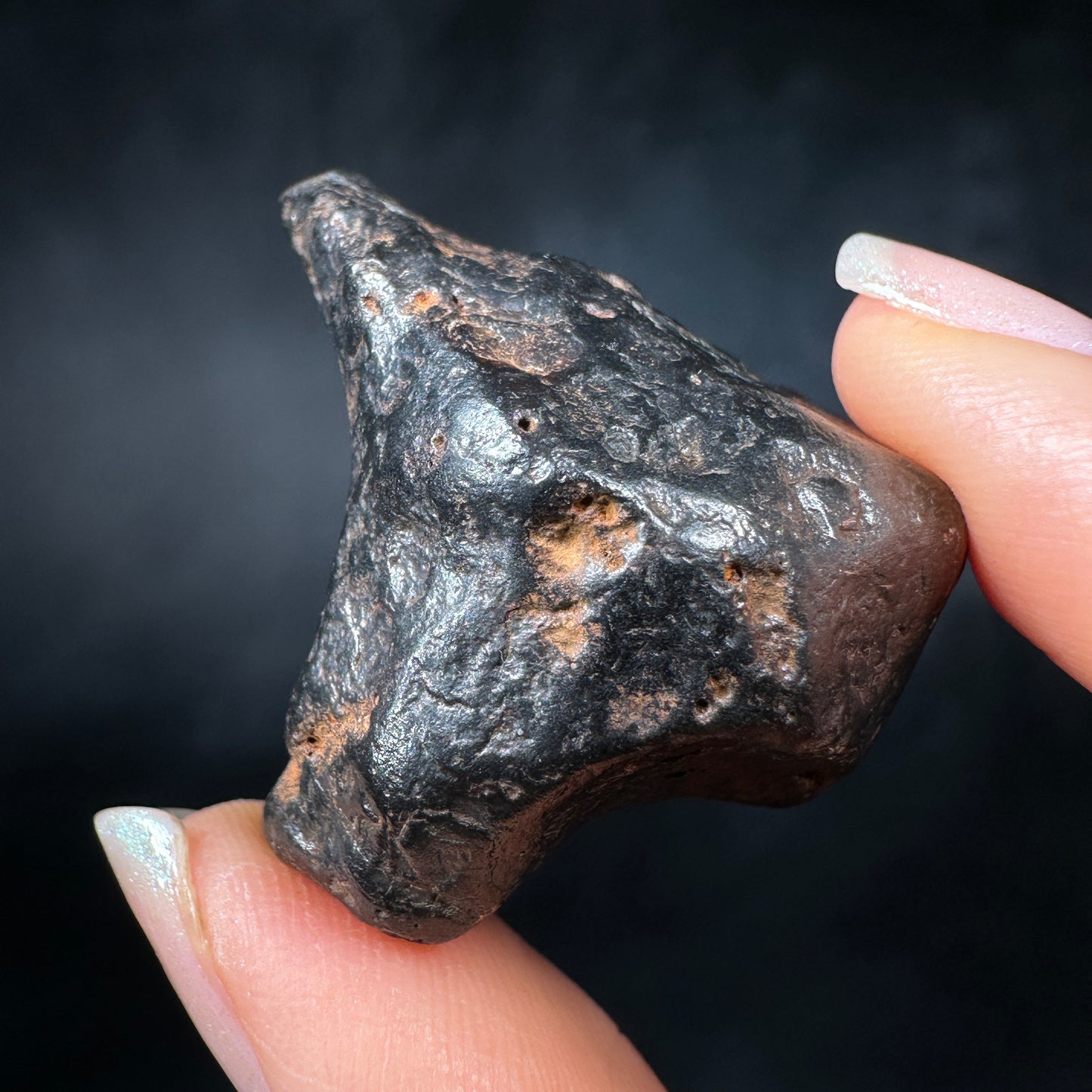 Canyon Diablo Meteorite for sale