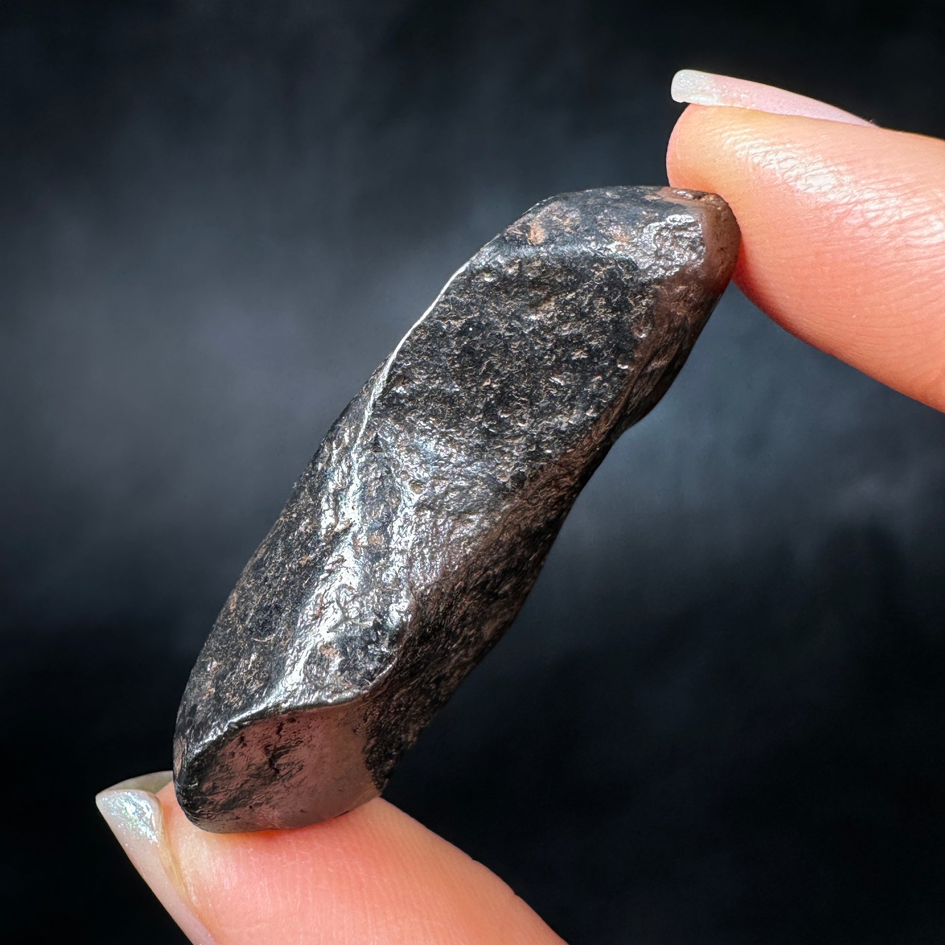 Canyon Diablo Meteorite