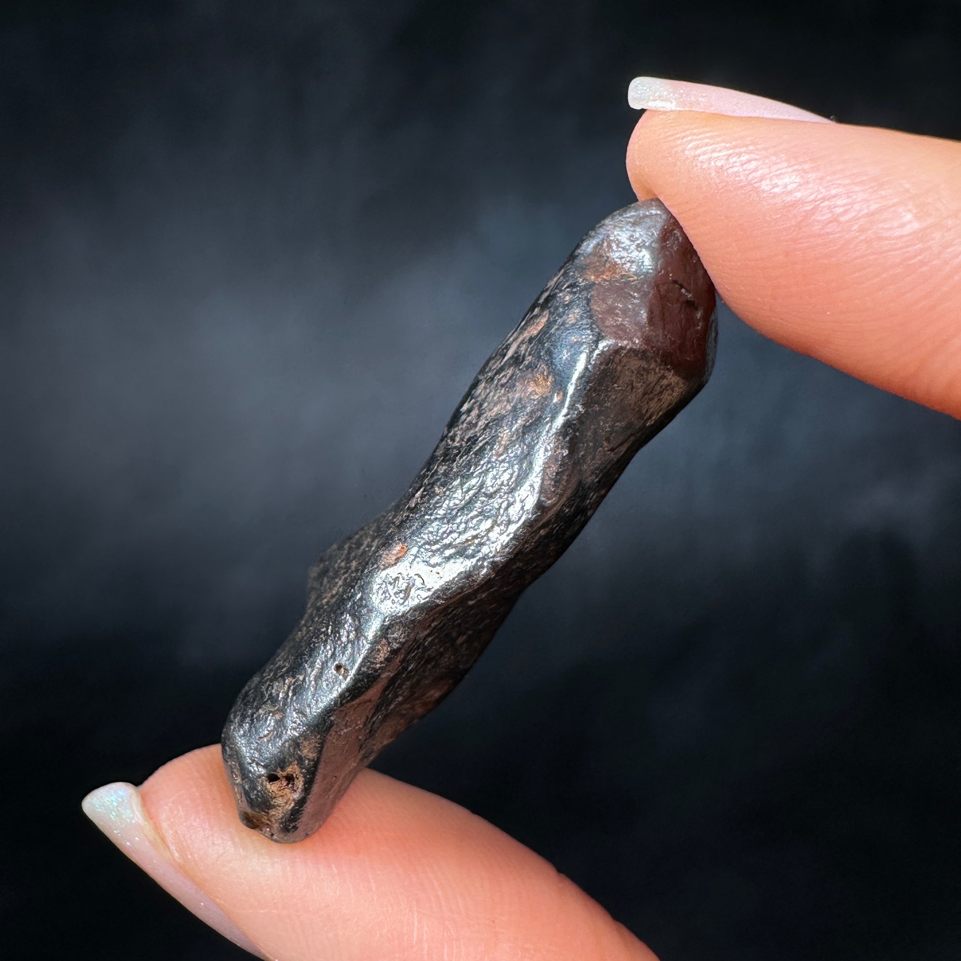 Canyon Diablo Meteorites for sale