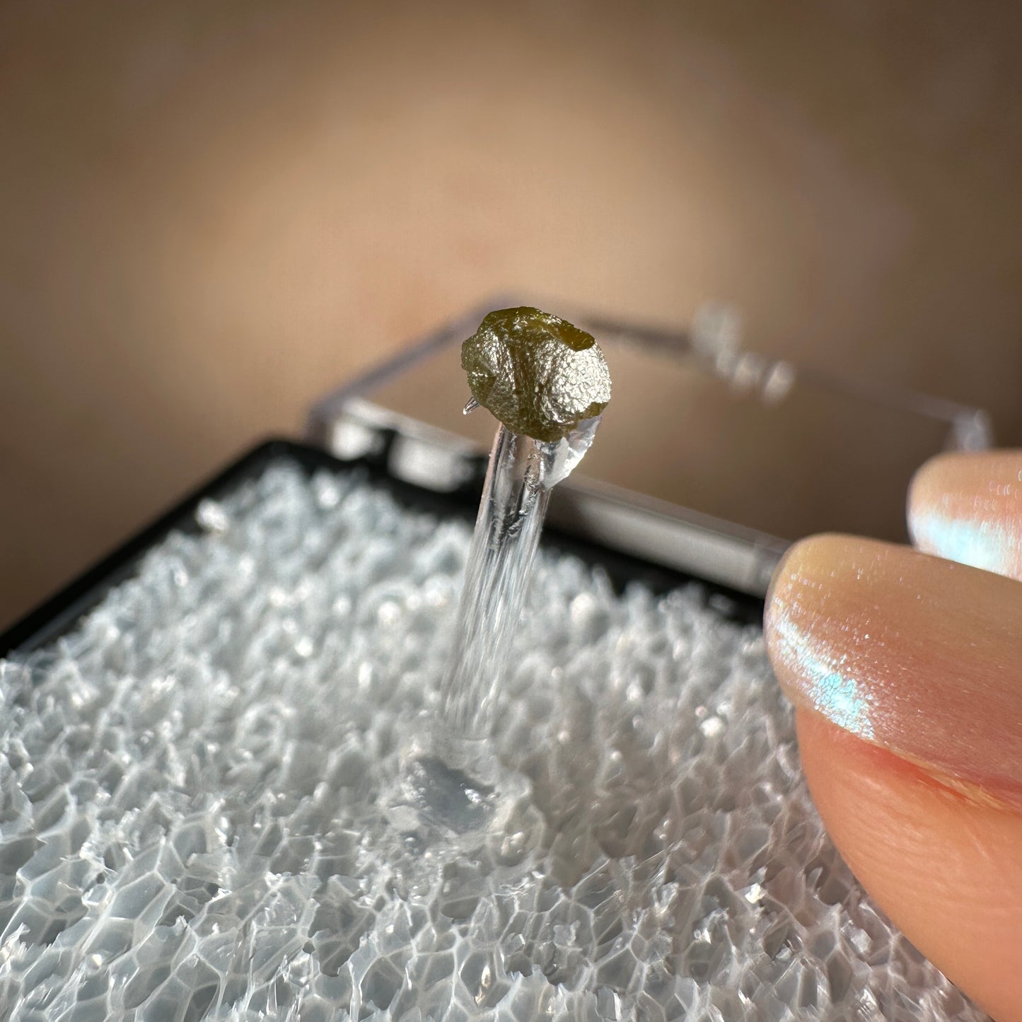 Popigai Crater Impact Diamond | Arctic Siberia, Russia