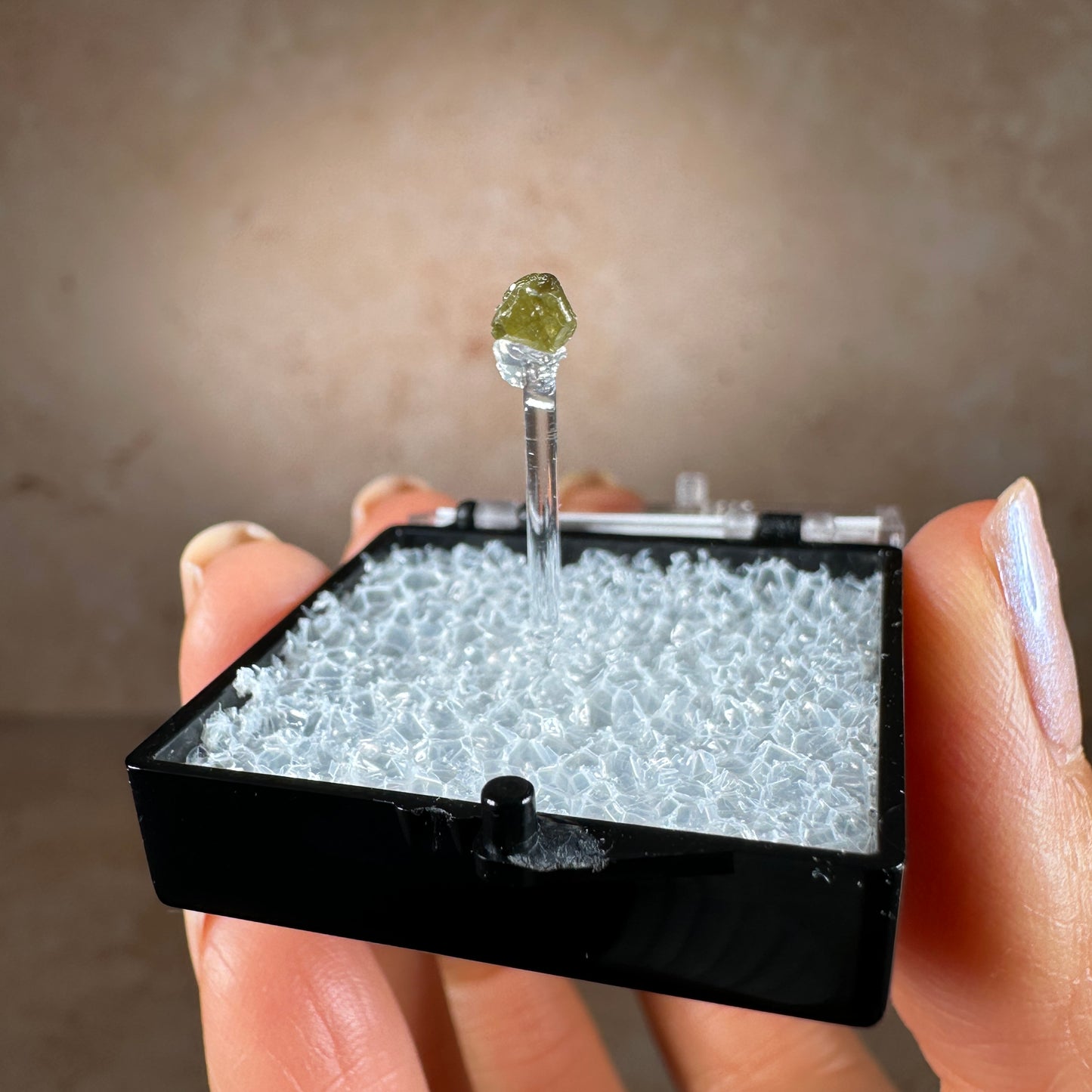 Popigai Crater Impact Diamond | Arctic Siberia, Russia