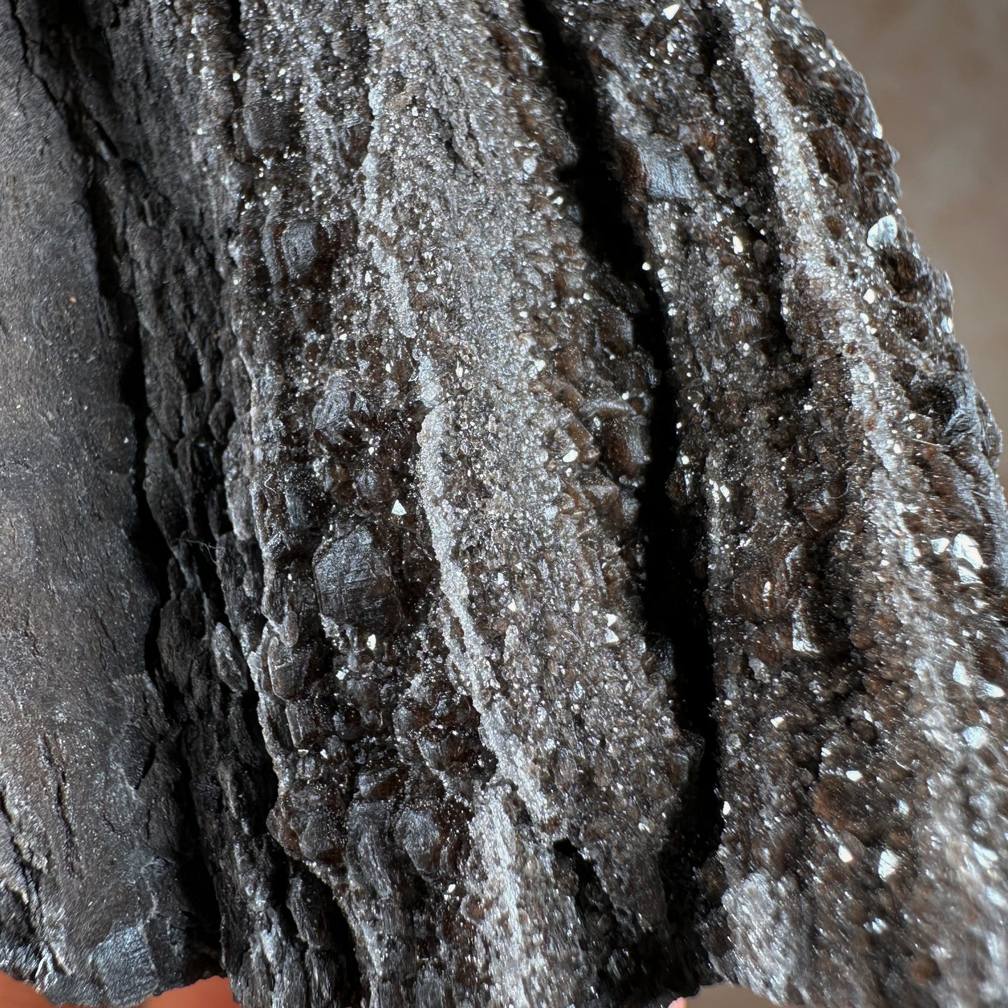 Permineralized Fossil Wood with Smoky Quartz, 540g | Arizona