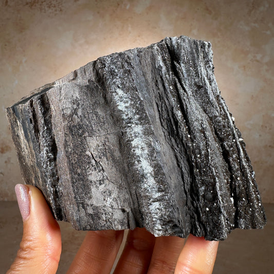Permineralized Fossil Wood with Smoky Quartz, 540g | Arizona