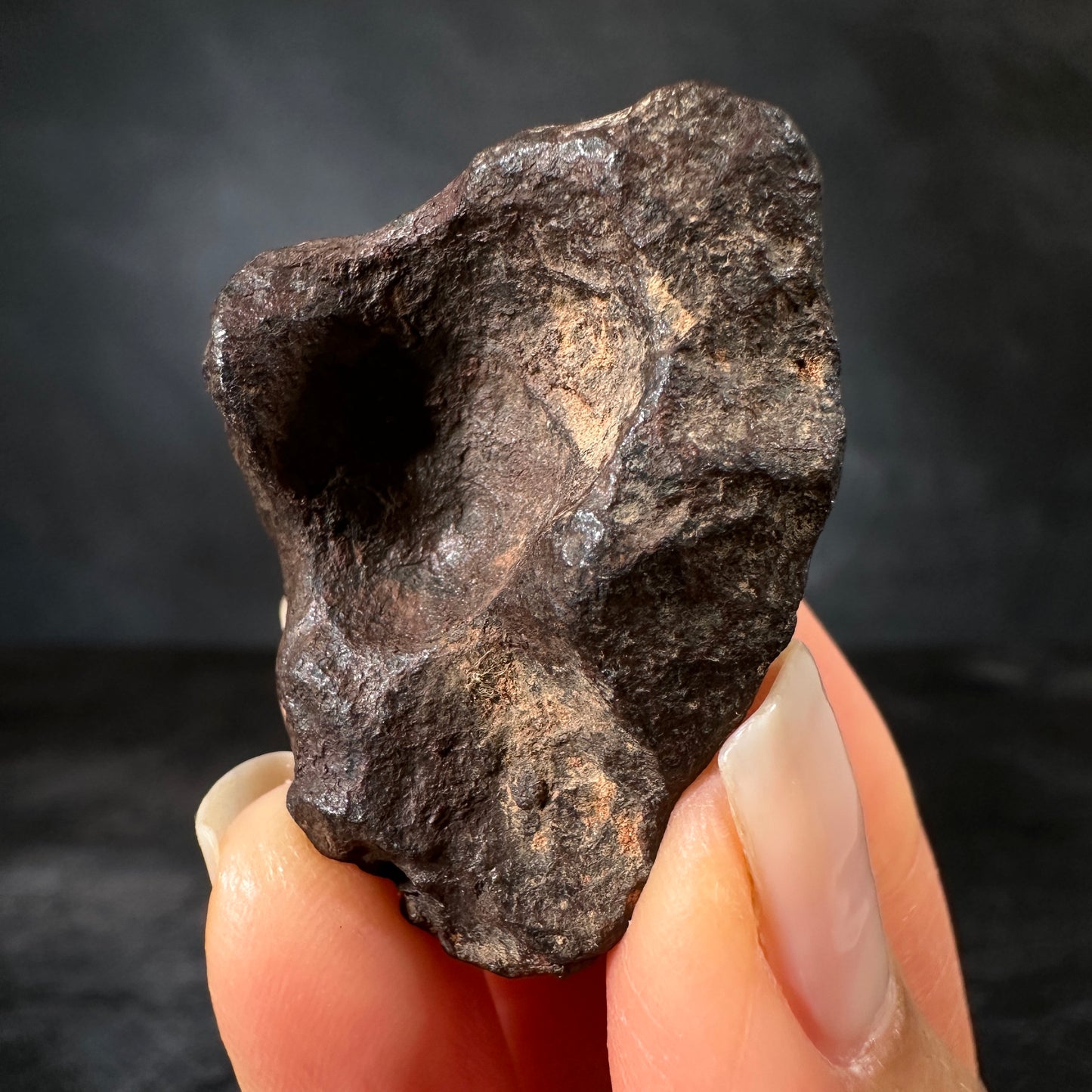 Mundrabilla Meteorite, 81.5g, Premium Collector’s Specimen | Nullarbor Plain, Western Australia