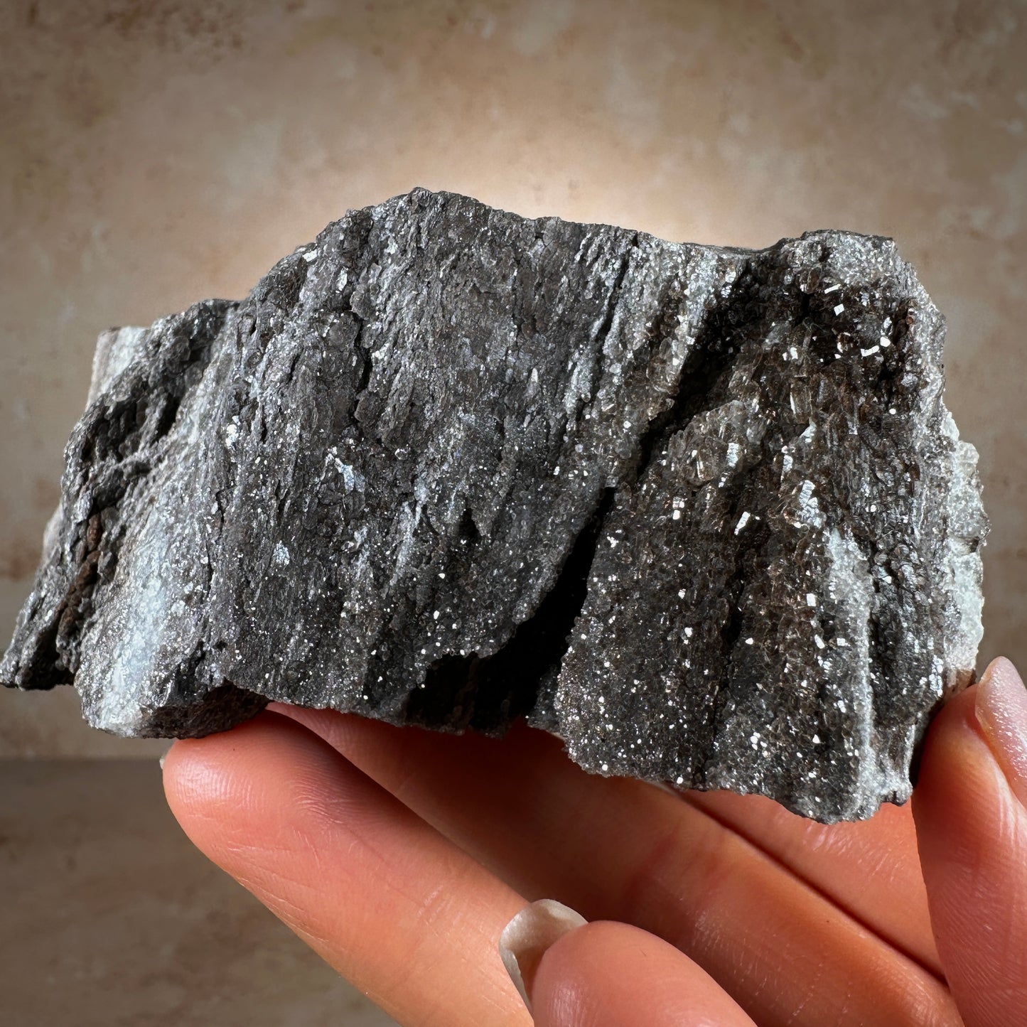 Permineralized Fossil Wood with Smoky Quartz, 302g | Arizona