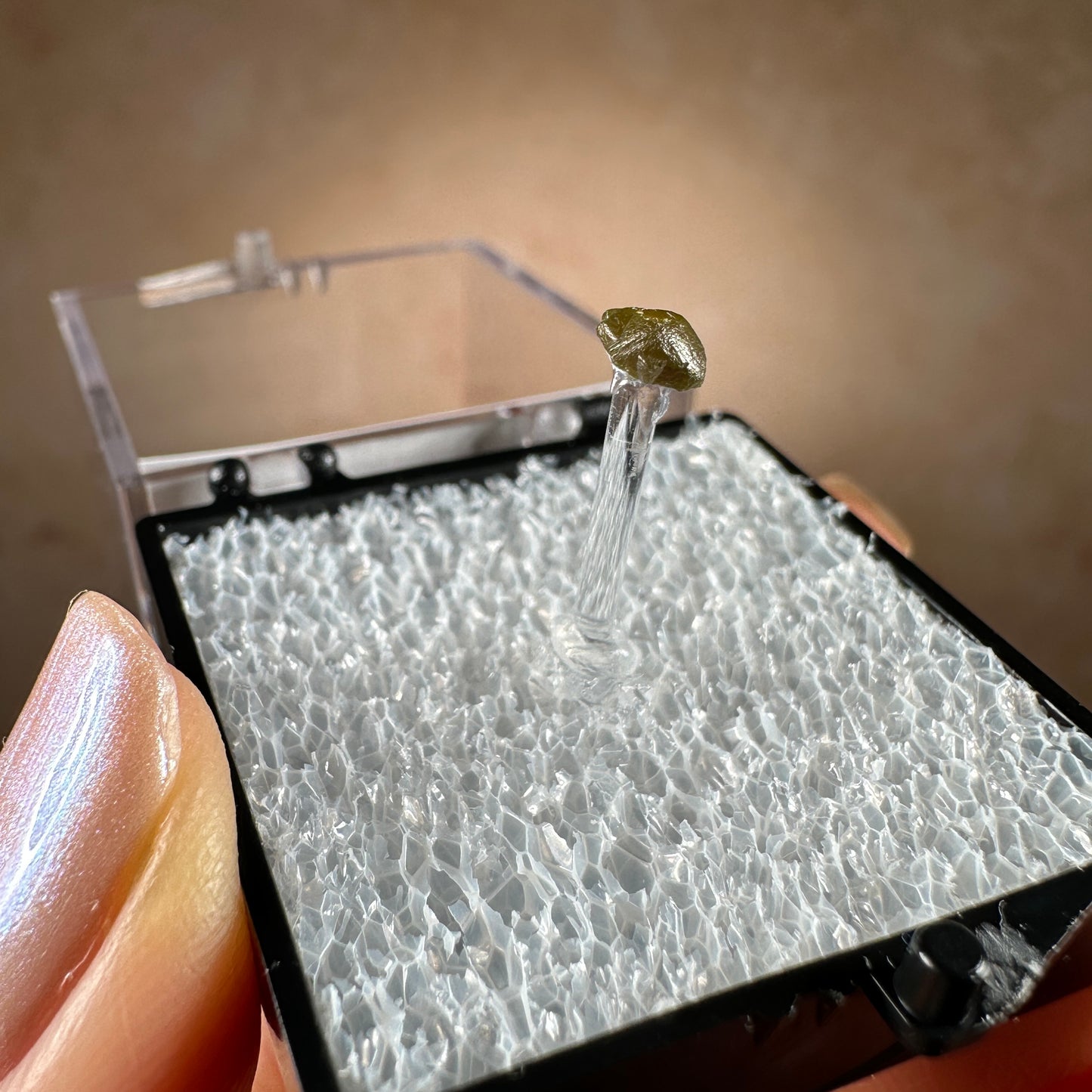 Popigai Crater Impact Diamond | Arctic Siberia, Russia