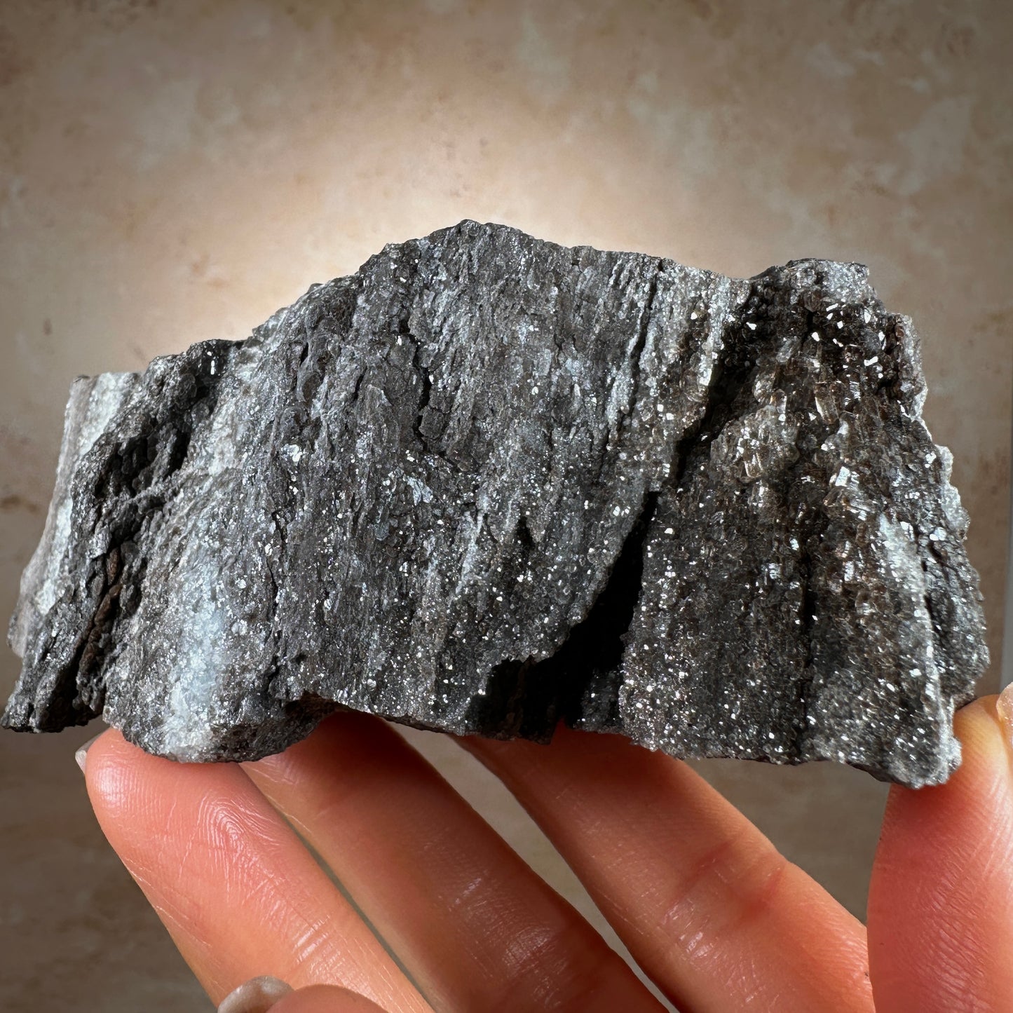 Permineralized Fossil Wood with Smoky Quartz, 302g | Arizona