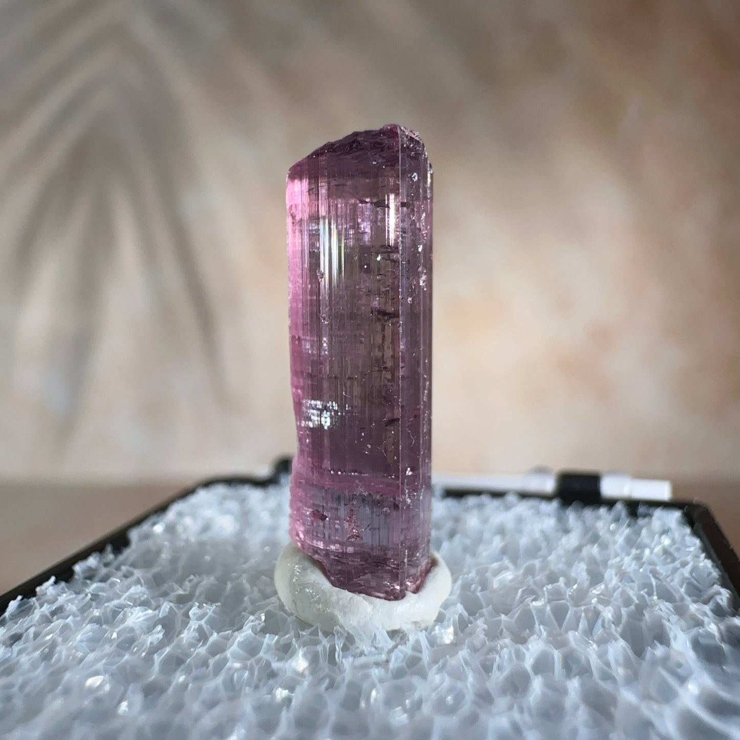 Cotton Candy Tourmaline, 7.55ct | Barra do Salinas, Coronel Murta, Minas Gerais, Brazil