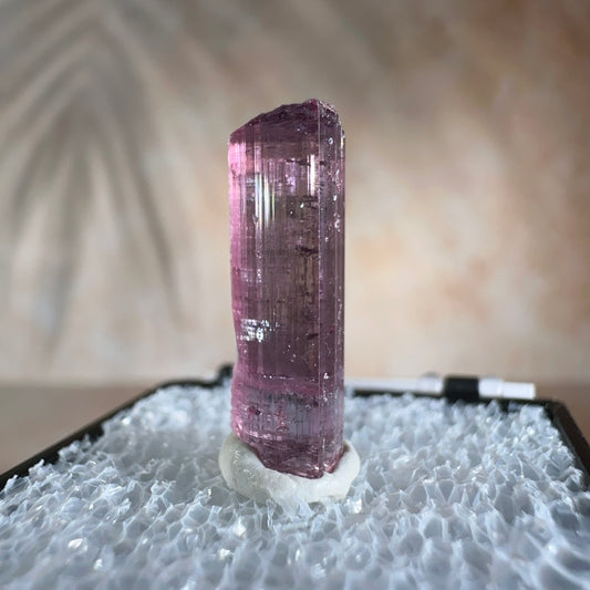 Cotton Candy Tourmaline, 7.55ct | Barra do Salinas, Coronel Murta, Minas Gerais, Brazil