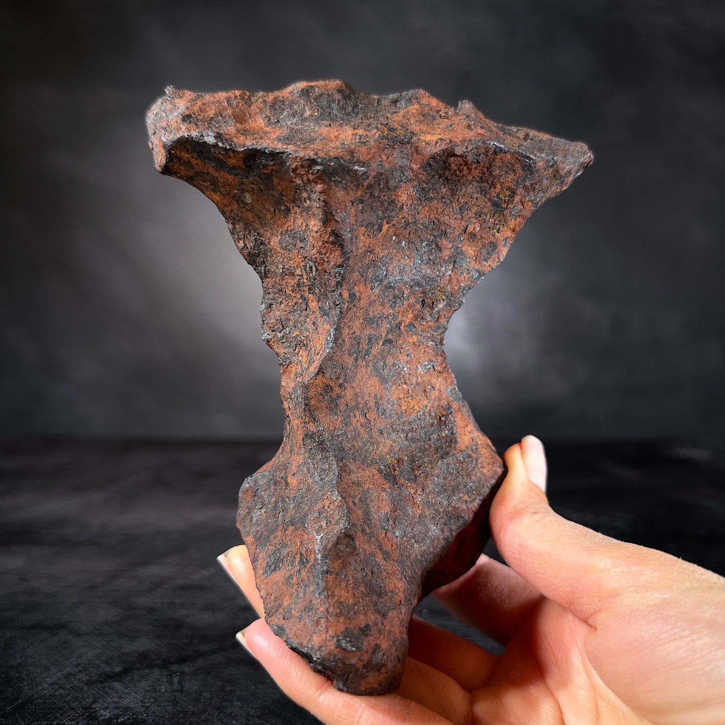 Gibeon Meteorite 1,742g, Premium Collector's Specimen | Namibia, Africa.