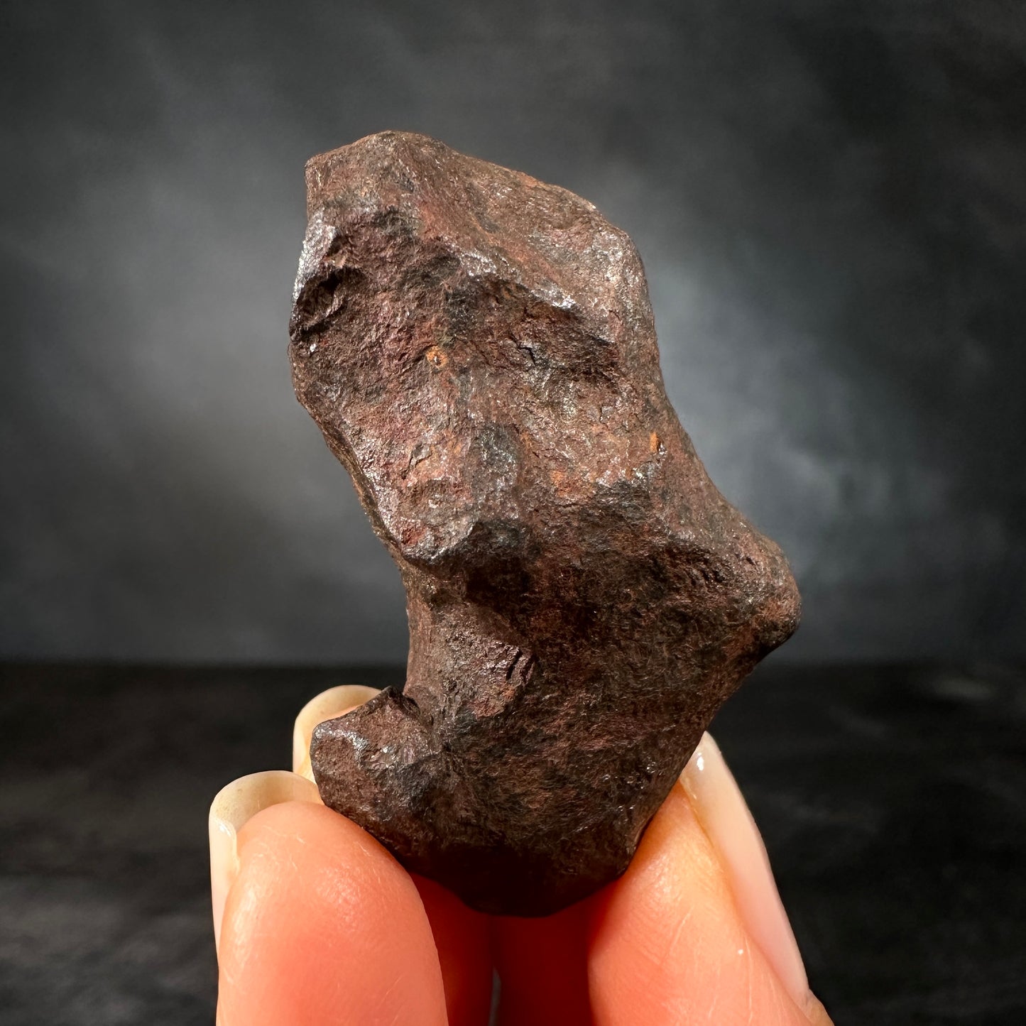 Mundrabilla Meteorite, 69.9g | Nullarbor Plain, Western Australia
