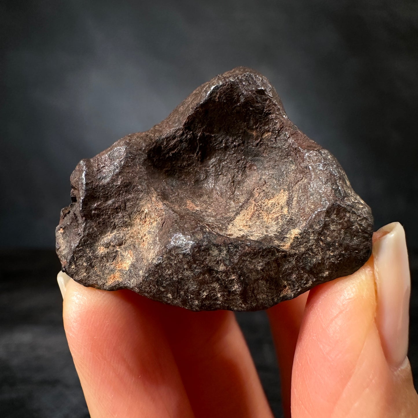 Mundrabilla Meteorite, 81.5g, Premium Collector’s Specimen | Nullarbor Plain, Western Australia