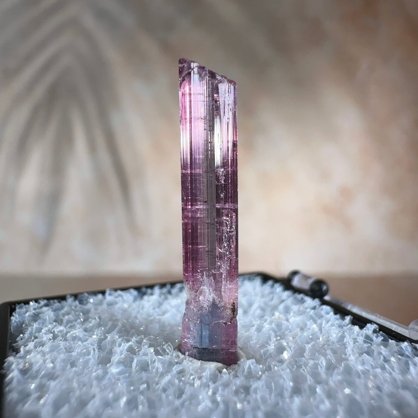 Cotton Candy Tourmaline, 5.09ct | Barra do Salinas, Coronel Murta, Minas Gerais, Brazil