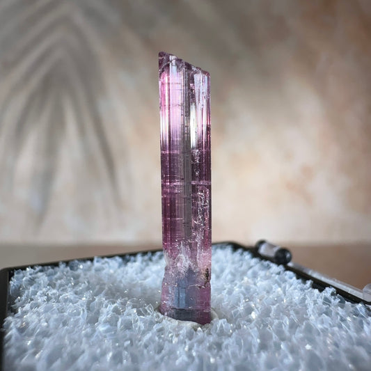 Cotton Candy Tourmaline, 5.09ct | Barra do Salinas, Coronel Murta, Minas Gerais, Brazil