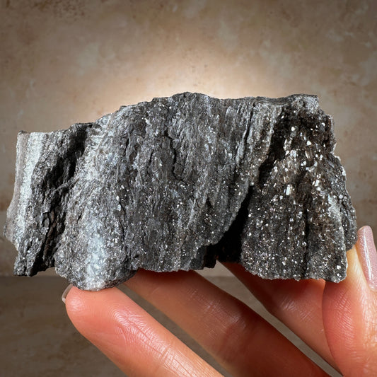 Permineralized Fossil Wood with Smoky Quartz, 302g | Arizona