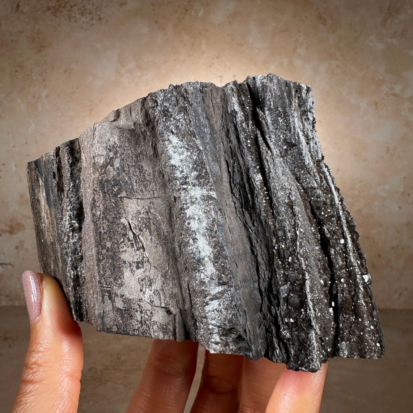 Permineralized Fossil Wood with Smoky Quartz, 540g | Arizona
