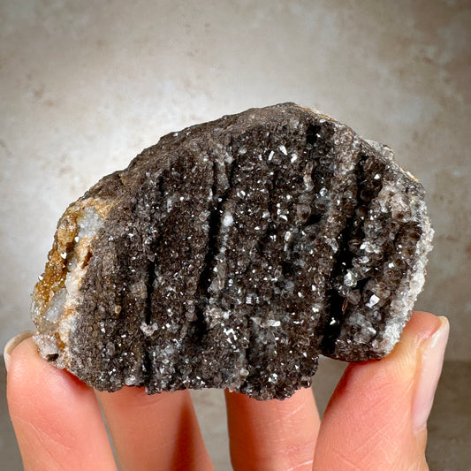 Permineralized Fossil Wood with Smoky Quartz, 95g | Arizona