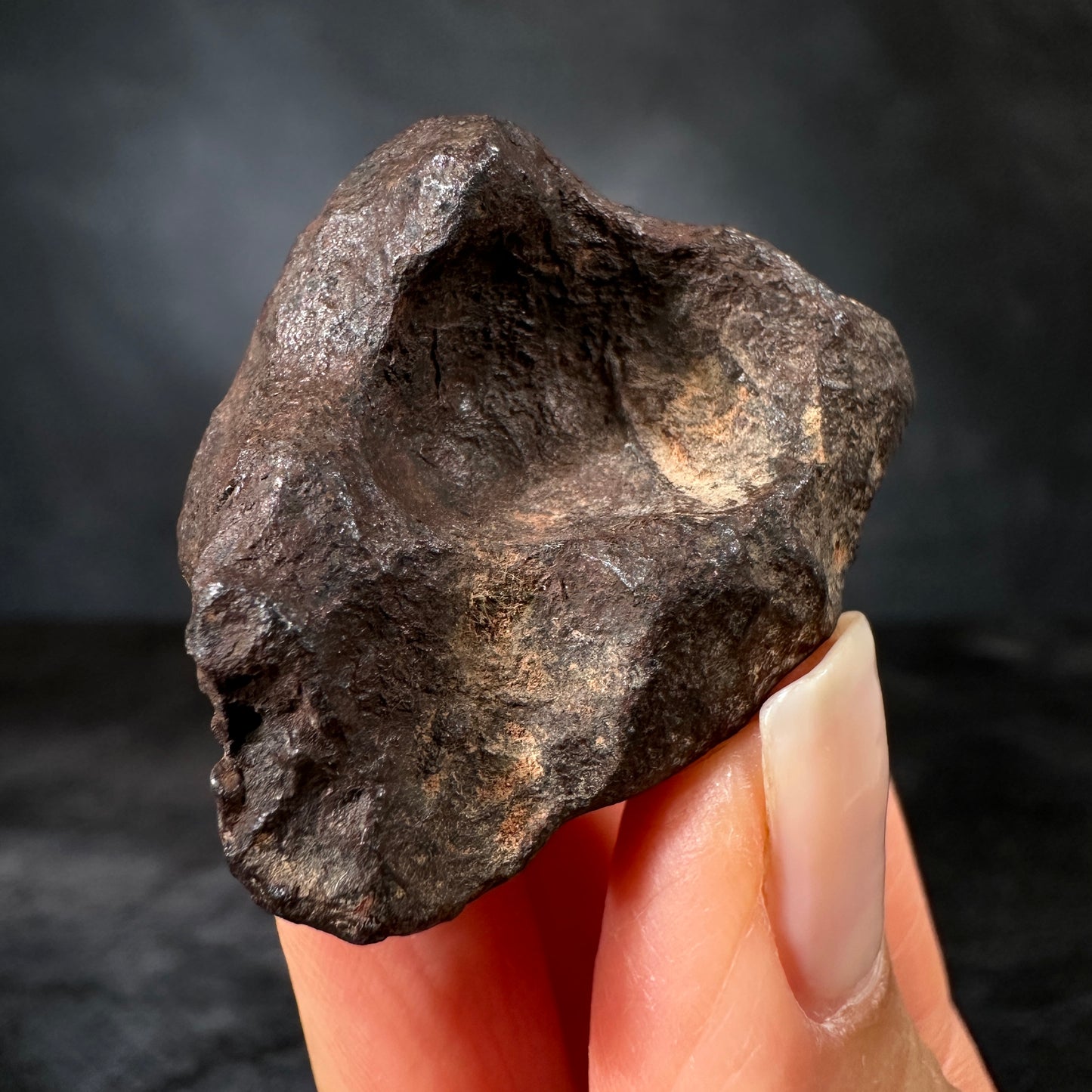Mundrabilla Meteorite, 81.5g, Premium Collector’s Specimen | Nullarbor Plain, Western Australia