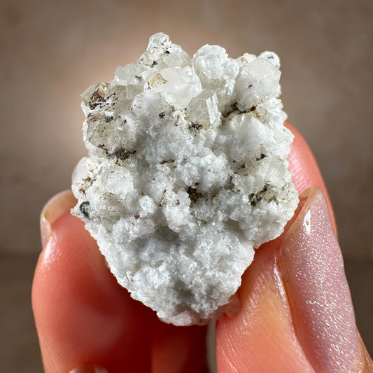 Phenakite on Matrix, 7.33g | Mt. Antero, Chaffee Co., Colorado