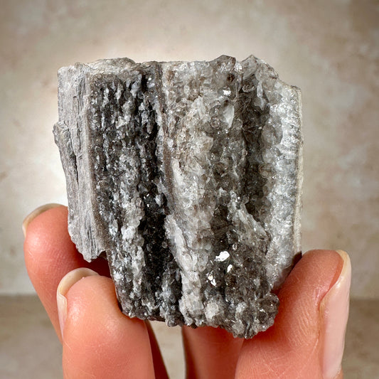 Rare Smoky Quartz Permineralized Fossil Wood