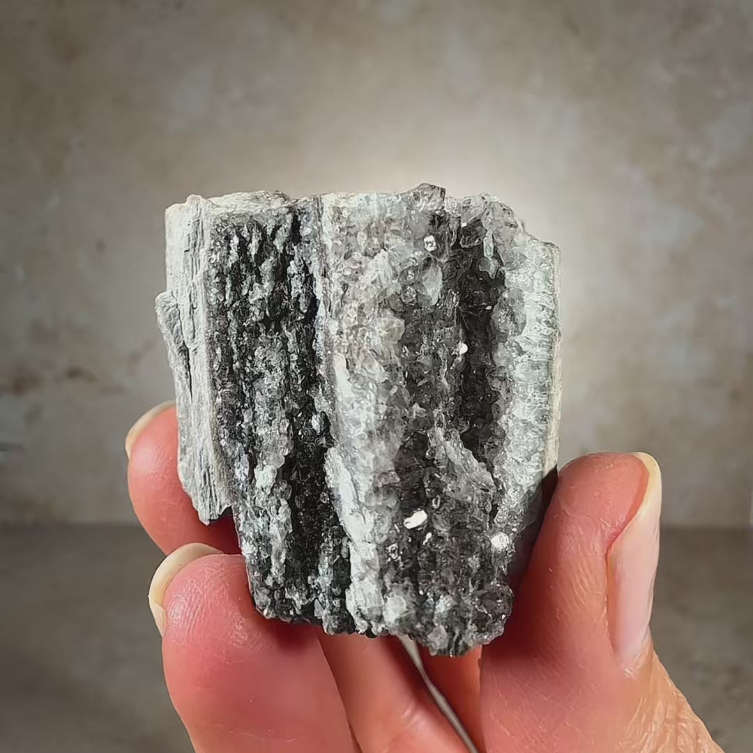 Smoky Quartz on Petrified Fossil Wood