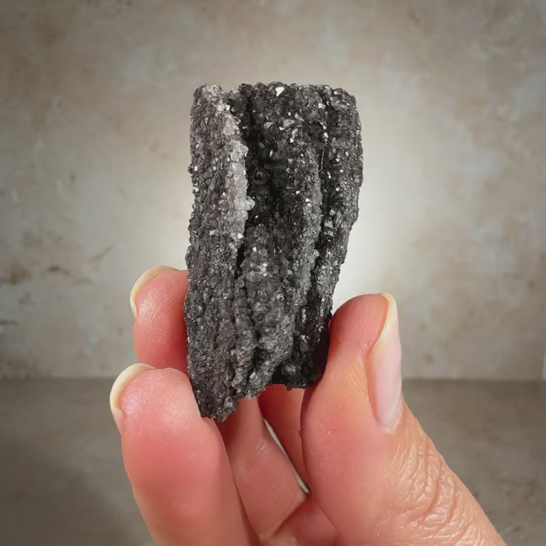 Rare Carbonized Smoky Quartz Fossil Wood