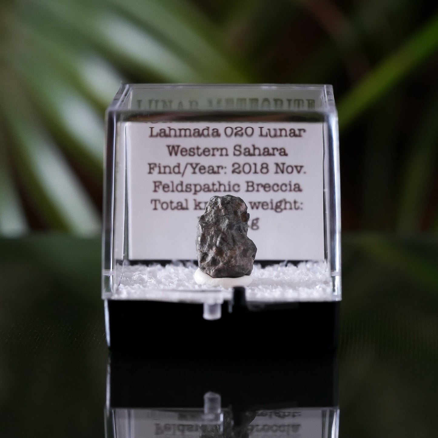 Lunar Meteorite, Lahmada 020, Western Sahara, .8g